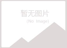 桃山区凝天冶炼有限公司